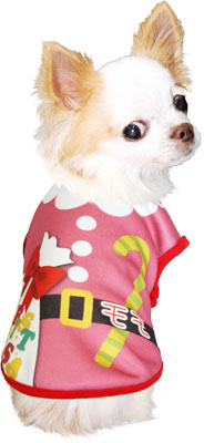 【犬服 犬 服 秋冬 犬の服 名入れ】愛犬のお名前入り 5サンタ 【ドッグウェア クリスマス X'mas サンタクロース カラフル チワワ ダックス トイプードル おもしろい タムベディ】(S/3/N/H/)