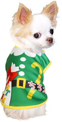 【犬服 犬 服 秋冬 犬の服 名入れ】愛犬のお名前入り 5サンタ 【ドッグウェア クリスマス X'mas サンタクロース カラフル チワワ ダックス トイプードル おもしろい タムベディ】(S/3/N/H/)