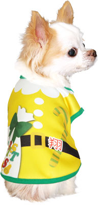 【犬服 犬 服 秋冬 犬の服 名入れ】愛犬のお名前入り 5サンタ 【ドッグウェア クリスマス X'mas サンタクロース カラフル チワワ ダックス トイプードル おもしろい タムベディ】(S/3/N/H/)