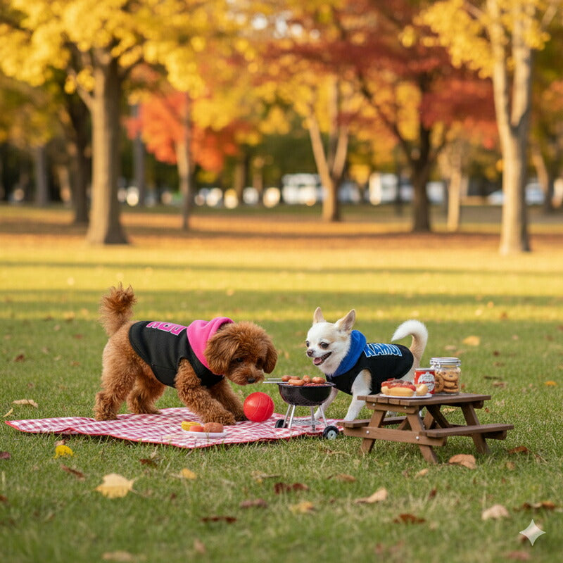 【犬服 犬 服 秋冬 犬の服 名入れ】愛犬のお名前入り 6カラートレーナー パーカー(O/SM/T/L/)