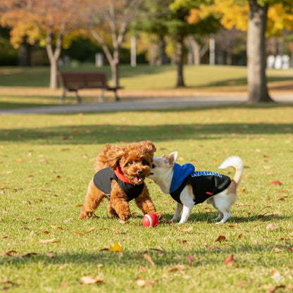 【犬服 犬 服 秋冬 犬の服 名入れ】愛犬のお名前入り 6カラートレーナー パーカー(O/SM/T/L/)