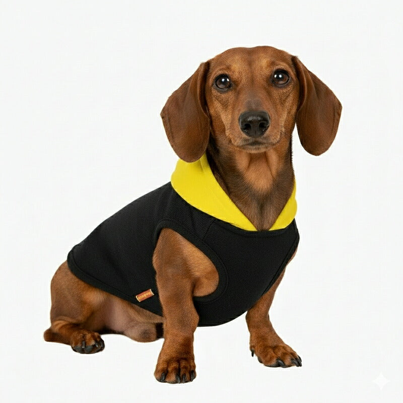 【犬服 犬 服 秋冬 犬の服 名入れ】愛犬のお名前入り 6カラートレーナー パーカー(O/SM/T/L/)