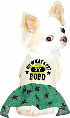 【犬服 犬 服 秋冬 犬の服 名入れ】愛犬のお名前入り 77スター ワンピース【ドッグウェア ペット 星柄 フレアスカート ぺット トイプードル チワワ ダックス おしゃれ コーギー タムベディ】(H/)