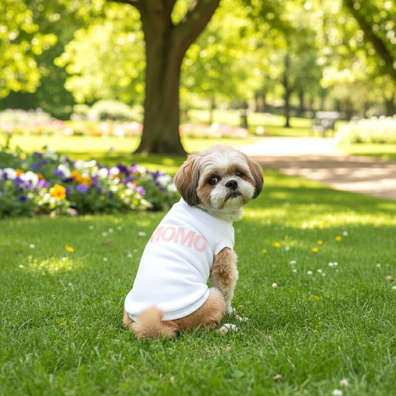 【犬服 犬 服 秋冬 犬の服 名入れ】愛犬のお名前入り エアリーミストシャツ【日本製 ナチュラル シンプル チワワ ダックス トイプードル かわいい ヨーキー タムベディ】(O/3/RI/H/)