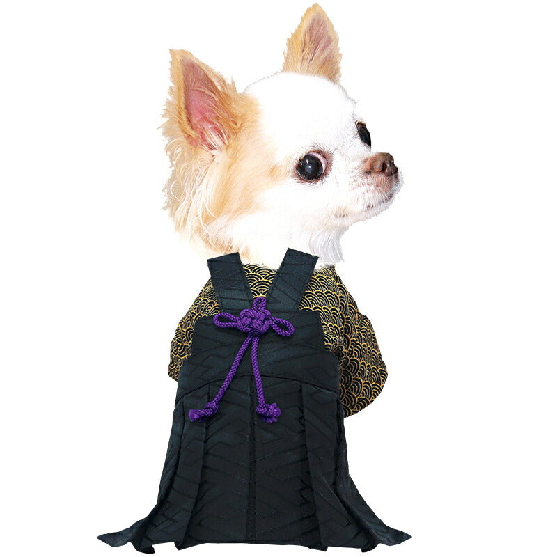 【犬服 犬 服 犬の服 秋服 冬服用】男振り袴 男振り袴 天海(あまみ)《名入れ可能》【着物 和装 お正月 初詣 年賀状 七五三 前開きドッグ ペット ウェア ダックス トイプードル チワワ タムベディおしゃれ ポメラニアン】