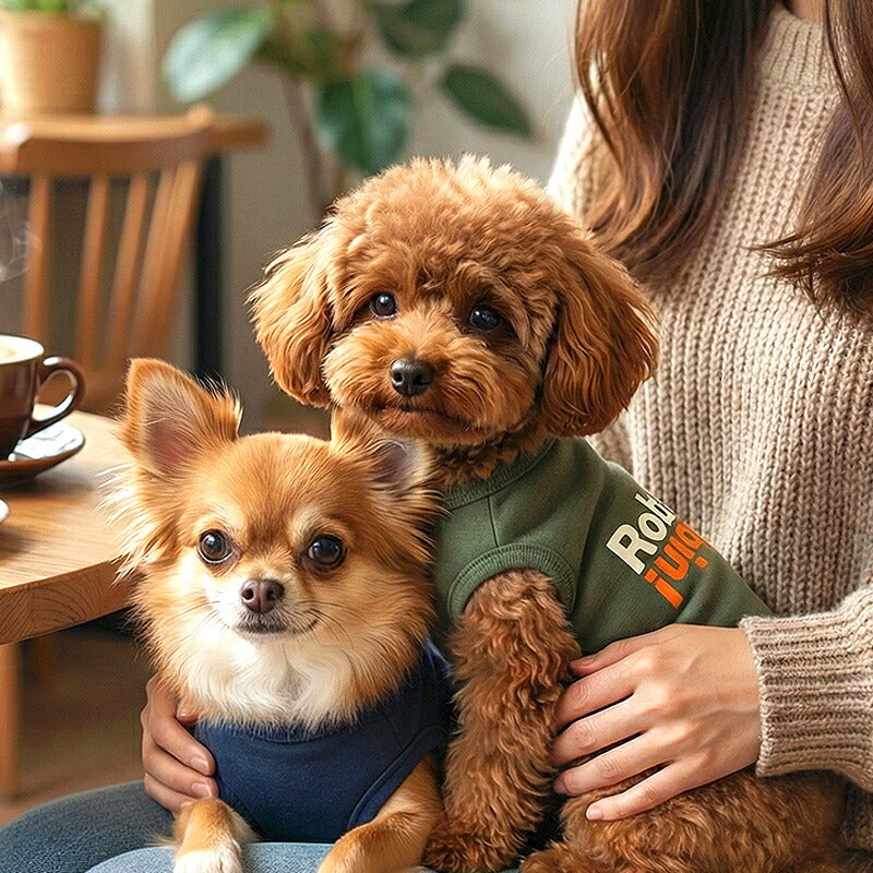 【犬服 犬 服 犬の服 秋服 冬服用】愛犬のお名前入り anywhere【 日本製 ロゴTシャツ トレーナードッグ ペット ウェア ダックス トイプードル チワワ タムベディ おしゃれ マルチーズ】(O/L/)