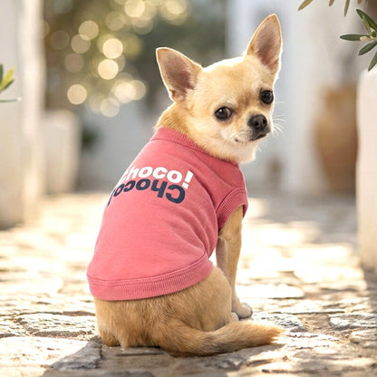 【犬服 犬 服 犬の服 秋服 冬服用】愛犬のお名前入り anywhere【 日本製 ロゴTシャツ トレーナードッグ ペット ウェア ダックス トイプードル チワワ タムベディ おしゃれ マルチーズ】(O/L/)