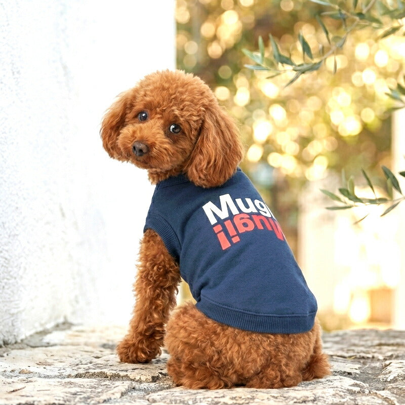 【犬服 犬 服 犬の服 秋服 冬服用】愛犬のお名前入り anywhere【 日本製 ロゴTシャツ トレーナードッグ ペット ウェア ダックス トイプードル チワワ タムベディ おしゃれ マルチーズ】(O/L/)
