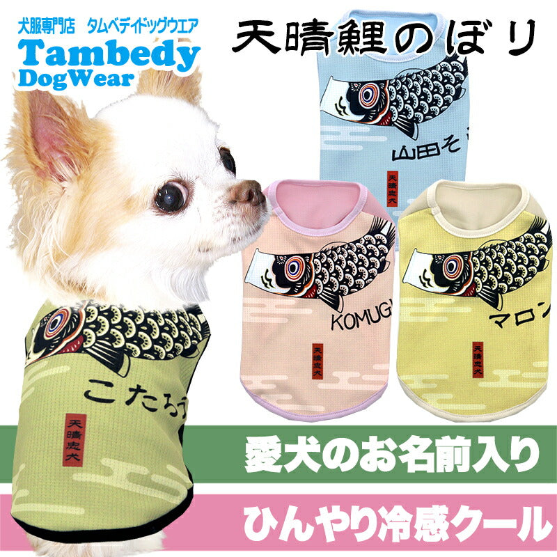 【犬服 犬 服 犬の服 名入れ 春服 夏服用】愛犬のお名前入り 接触冷感素材クール 天晴鯉のぼり 【こいのぼり 端午の節句 男の子 抜け毛対策ドッグ ペット ウェア トイプードル チワワ タムベディ マルチーズ】(S/B/N/H/)