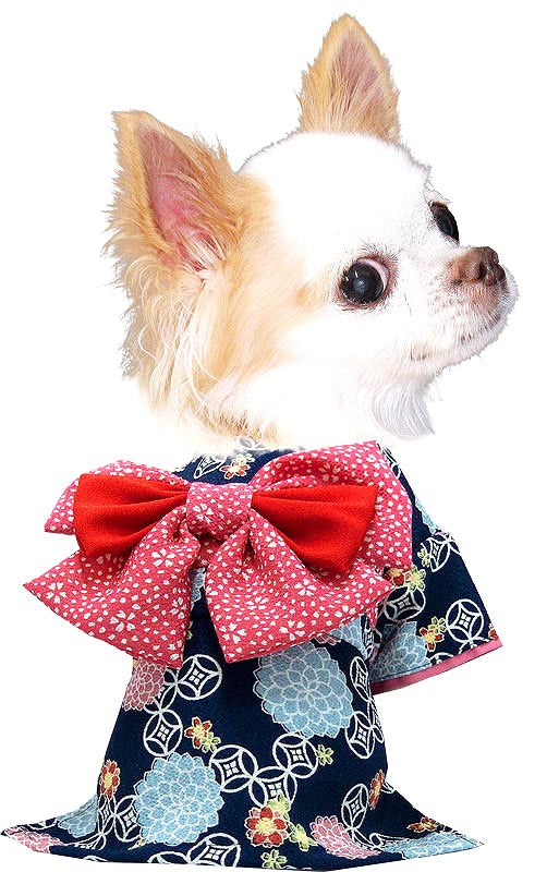 【犬 着物 犬の服】艶やか晴れ着 朝露 《名入れ可能》《コサージュ別売》【ドッグウェア ペット 着物 正月 七五三 ダックス トイプードル チワワ タムベディ かわいい シーズー 着せやすい】