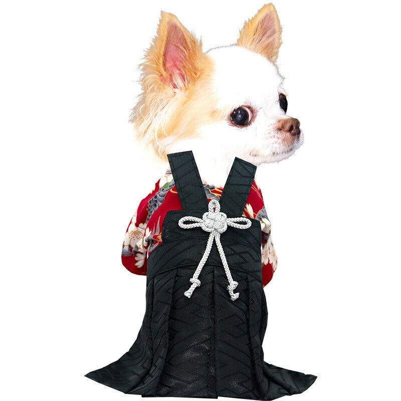【犬服 犬 服 犬の服 秋服 冬服用】男振り袴 飛鳥(あすか)《名入れ可能》【日本製 和柄 お正月 初詣 七五三 はかまドッグ ペット ウェア ダックス トイプードル チワワ タムベディ 渋い シーズー】