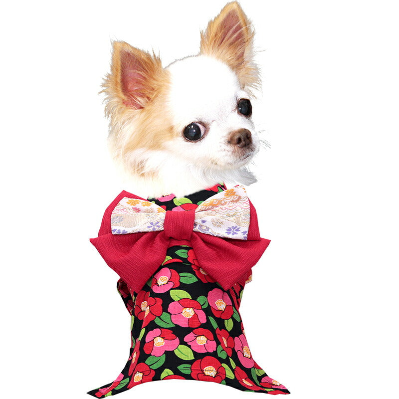 【犬服 犬 服 犬の服 秋服 冬服用】艶やか晴れ着 彩世(あやせ)《名入れ可能》《コサージュ別売》【着物 お正月 初詣 年賀状 七五三 前開きドッグ ペット ウェア ダックス トイプードル チワワ タムベディ シーズー】
