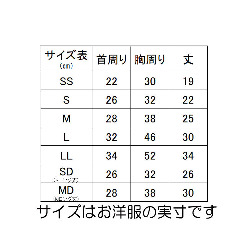 【犬服 犬 服 犬の服 名入れ 春秋服 冬服用】愛犬のお名前入り ベアスタンプラグランシャツ【２ライン スポーティ くま Tシャツドッグ ペット ウェア ダックス トイプードル チワワ タムベディクール ポメ】(O/F/RA/L/)