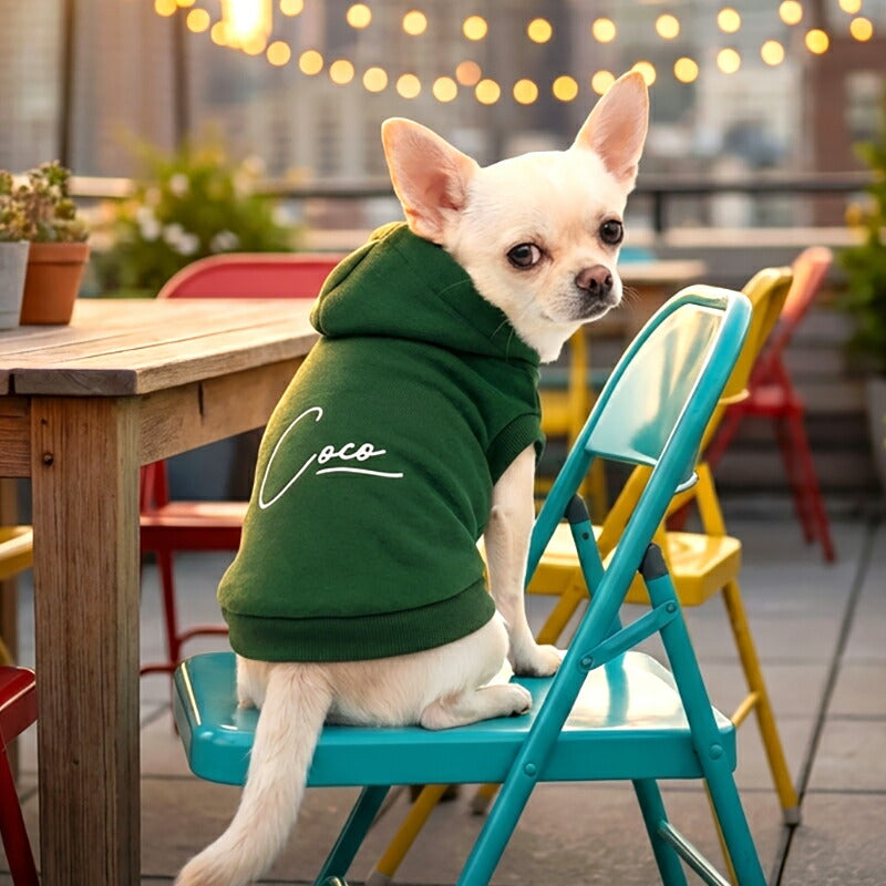 【犬服 犬 服 犬の服 春秋服 冬服用】愛犬のお名前入り ビーウェルパーカー【シンプル ハーネス穴 トレーナー フード アースカラー 日本製 ドッグ ペット ウェア ダックス トイプードル チワワ タムベディ おしゃれ】(O/F/RI/L)