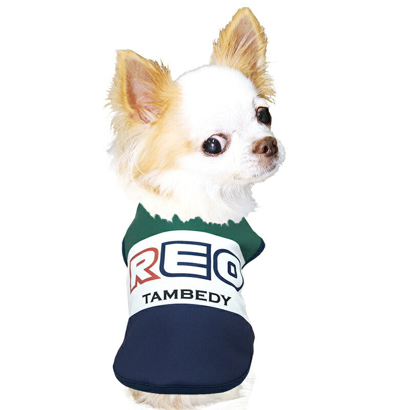 【犬服 犬 服 犬の服 名入れ 春秋服 冬服用】愛犬のお名前入りビッグレター【ビッグボーダー スポーティ カジュアル ドッグ ペット ウェア ダックス トイプードル チワワ タムベディおしゃれ ポメラニアン】(S/3/N/H/)