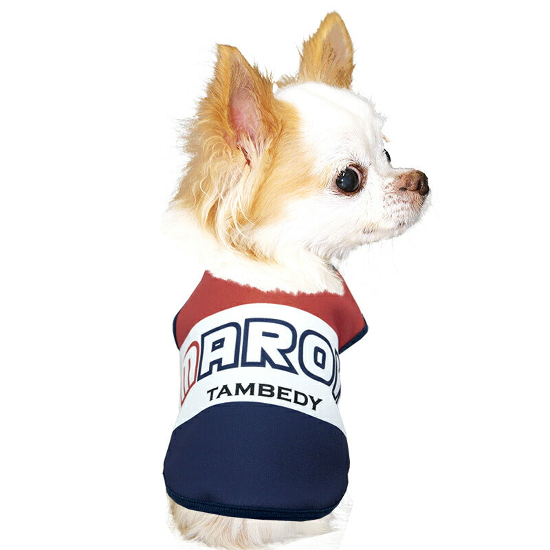 【犬服 犬 服 犬の服 名入れ 春秋服 冬服用】愛犬のお名前入りビッグレター【ビッグボーダー スポーティ カジュアル ドッグ ペット ウェア ダックス トイプードル チワワ タムベディおしゃれ ポメラニアン】(S/3/N/H/)