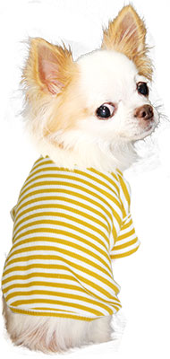 【犬服 犬 服 犬の服】ボーダーカットソー シャツ【ドッグウェア ペット 部屋着 チワワ ダックス トイプードル かわいい シーズー タムベディ】
