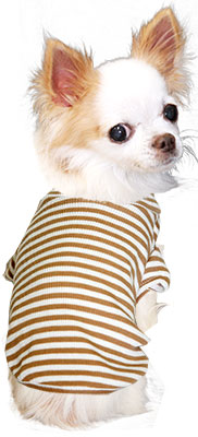 【犬服 犬 服 犬の服】ボーダーカットソー シャツ【ドッグウェア ペット 部屋着 チワワ ダックス トイプードル かわいい シーズー タムベディ】
