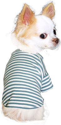 【犬服 犬 服 犬の服】ボーダーカットソー シャツ【ドッグウェア ペット 部屋着 チワワ ダックス トイプードル かわいい シーズー タムベディ】
