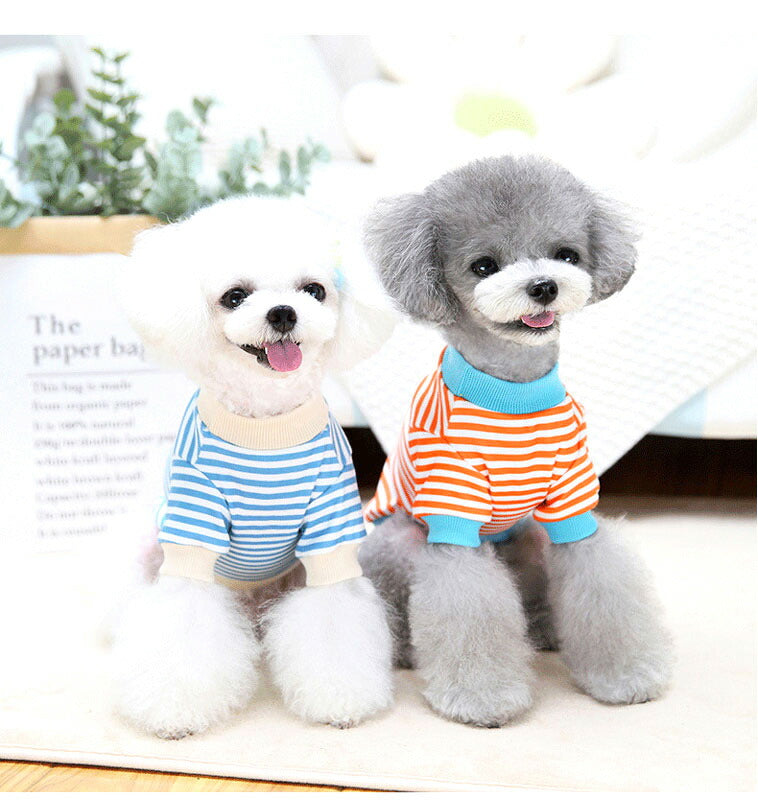 【犬 夏服 犬の服 春服用】ボーダーワンコシャツ【ドッグウェア しましま 顔 袖あり ドッグ ペット アウトレット ダックス トイプードル チワワ タムベディおもしろい パグ】[CN][GI]
