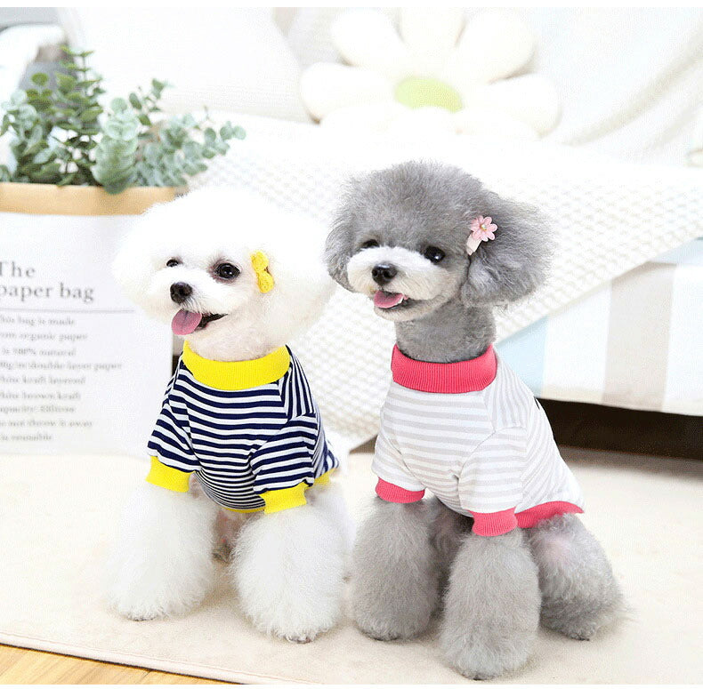 【犬 夏服 犬の服 春服用】ボーダーワンコシャツ【ドッグウェア しましま 顔 袖あり ドッグ ペット アウトレット ダックス トイプードル チワワ タムベディおもしろい パグ】[CN][GI]