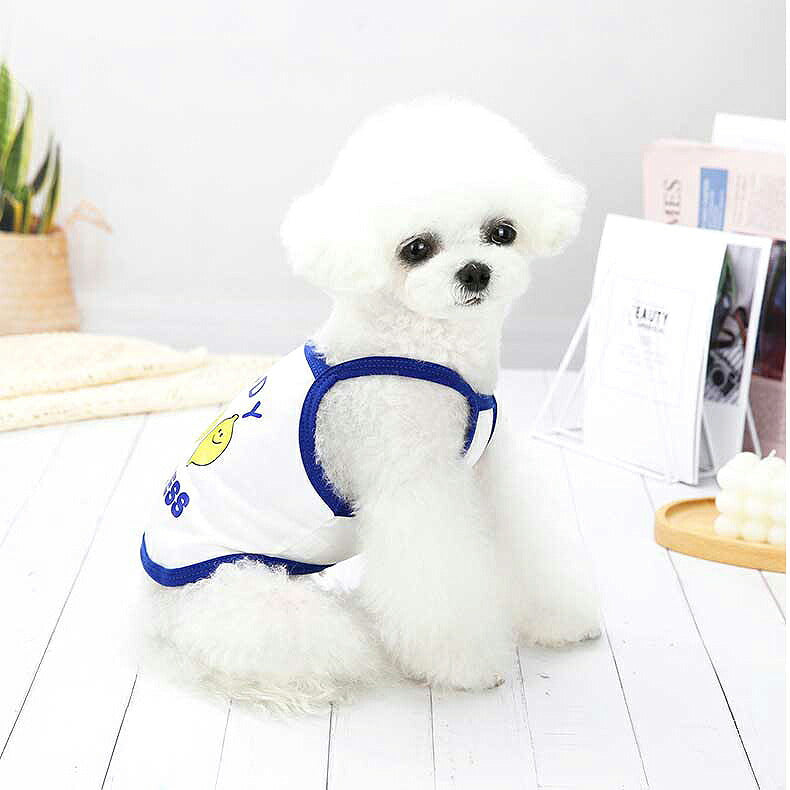 【犬 夏服 犬の服 春服用】キャンディキャミソール【ドッグウェア ペット アップル レモン チェック アウトレット ダックス トイプードル チワワ 服 タムベディ かわいい パピヨン】[CN]