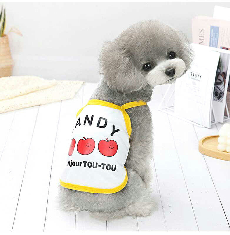 【犬 夏服 犬の服 春服用】キャンディキャミソール【ドッグウェア ペット アップル レモン チェック アウトレット ダックス トイプードル チワワ 服 タムベディ かわいい パピヨン】[CN]