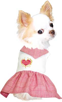 【犬服 犬 服 犬の服 名入れ】愛犬のお名前入り チェックスカーフ ワンピース【ドッグウェア スカーフ チェック 女の子 ダックス トイプードル チワワ おしゃれ パピヨン タムベディ】[GI](H/)