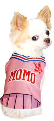 【犬 夏服 犬の服 名入れ 春服用】ひんやり 接触冷感素材 クール 愛犬のお名前入り チアガール シャツ【ドッグウェア トイプードル チワワ おもしろ ポメラニアン 暑さ対策 タムベディ】(S/B/N/H/)