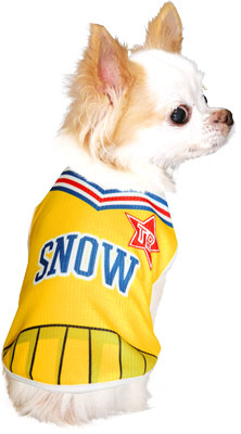 【犬 夏服 犬の服 名入れ 春服用】ひんやり 接触冷感素材 クール 愛犬のお名前入り チアガール シャツ【ドッグウェア トイプードル チワワ おもしろ ポメラニアン 暑さ対策 タムベディ】(S/B/N/H/)