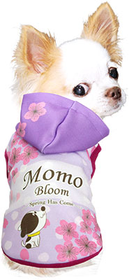 【犬服 犬 服 犬の服 春秋服 冬服用 名入れ】愛犬のお名前入り チェリーブロッサム パーカー【ドッグウェア 桜 さくら お花見 チワワ ダックス トイプードル かわいい パピヨン タムベディ】(S/3/N/H/)