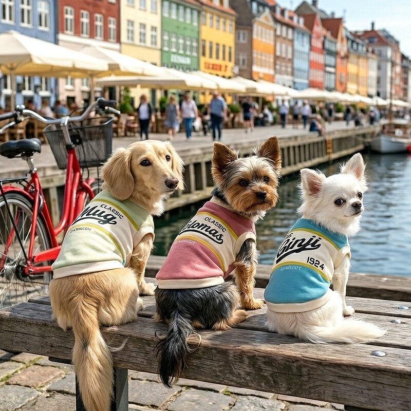 【犬服 犬 服 犬の服 秋服 冬服用】愛犬のお名前入りクラシック1924 【シャツ 袖あり 日本製 オリジナル ドッグ ペット ウェア ダックス トイプードル チワワ タムベディ おしゃれ ポメラニアン】(S/3/RI/H/)