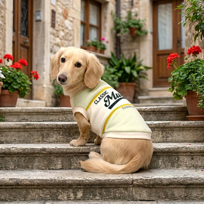 【犬服 犬 服 犬の服 秋服 冬服用】愛犬のお名前入りクラシック1924 【シャツ 袖あり 日本製 オリジナル ドッグ ペット ウェア ダックス トイプードル チワワ タムベディ おしゃれ ポメラニアン】(S/3/RI/H/)