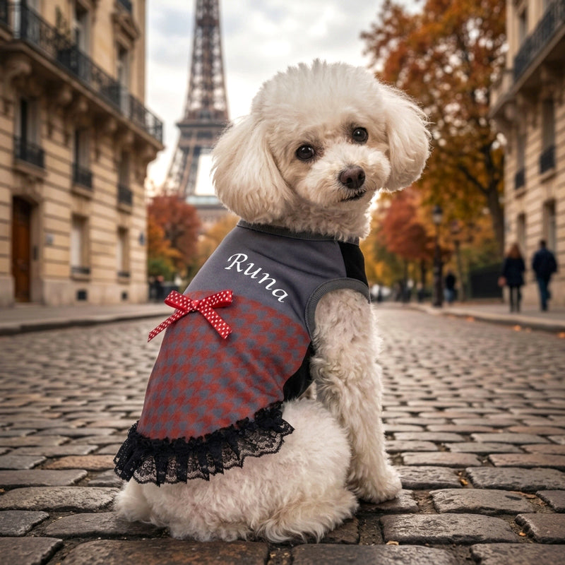 【犬 服 犬服 犬の服 名入れ 春夏服 秋冬服用】愛犬のお名前入り クラシカルレディワンピース【日本製 フリル レース 抜け毛対策 ドッグ ペット ウェア トイプードル チワワ タムベディ きれい ポメラニアン】(S/B/W/H/)