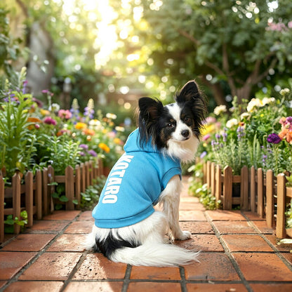 【犬服 犬 服 秋冬 犬の服 ドッグウェア 名入れ】愛犬のお名前入り カラフルパーカー【ダックス トイプードル チワワ おしゃれ ヨーキー タムベディ】(O/F/RI/L/)