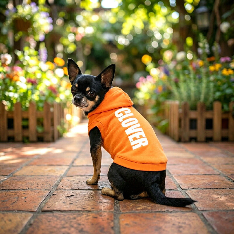 【犬服 犬 服 秋冬 犬の服 ドッグウェア 名入れ】愛犬のお名前入り カラフルパーカー【ダックス トイプードル チワワ おしゃれ ヨーキー タムベディ】(O/F/RI/L/)