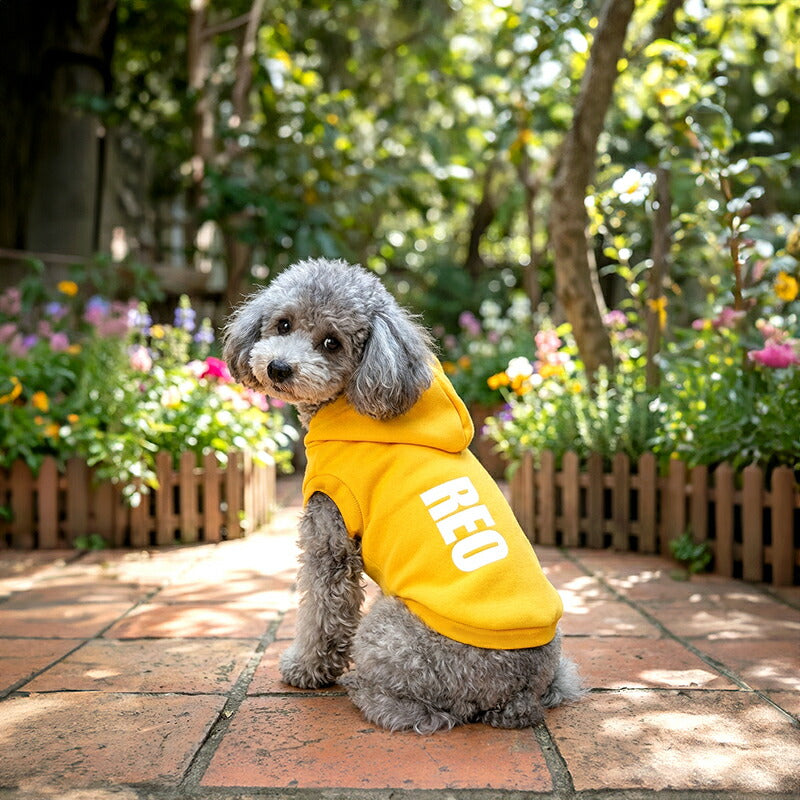 【犬服 犬 服 秋冬 犬の服 ドッグウェア 名入れ】愛犬のお名前入り カラフルパーカー【ダックス トイプードル チワワ おしゃれ ヨーキー タムベディ】(O/F/RI/L/)