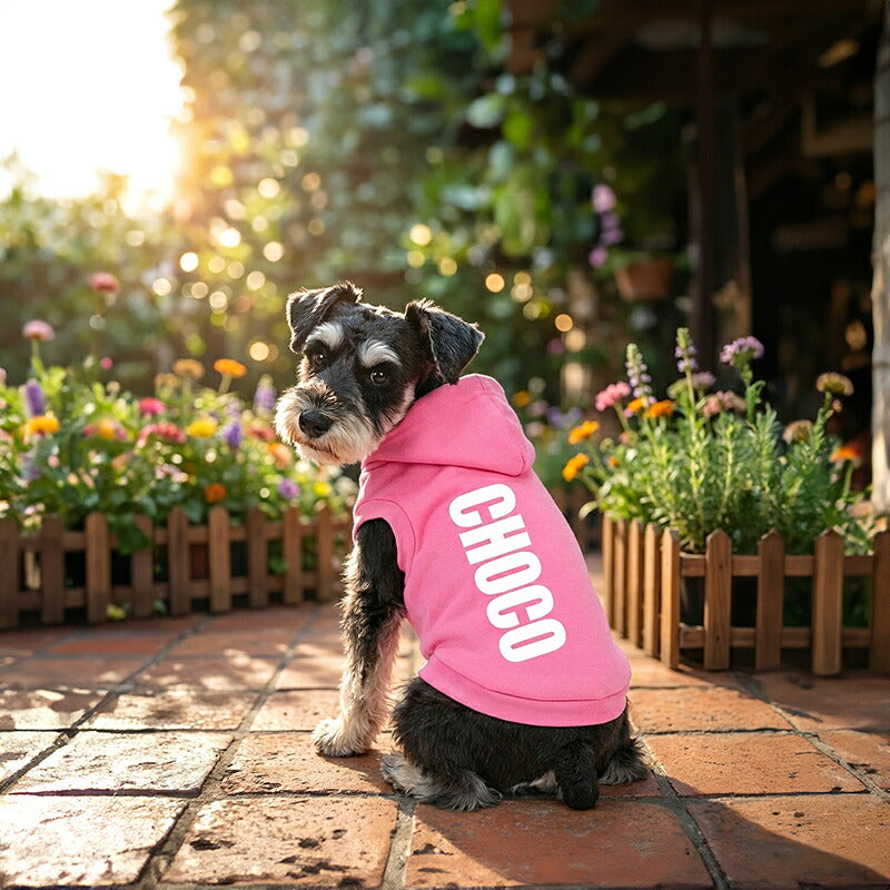 【犬服 犬 服 秋冬 犬の服 ドッグウェア 名入れ】愛犬のお名前入り カラフルパーカー【ダックス トイプードル チワワ おしゃれ ヨーキー タムベディ】(O/F/RI/L/)