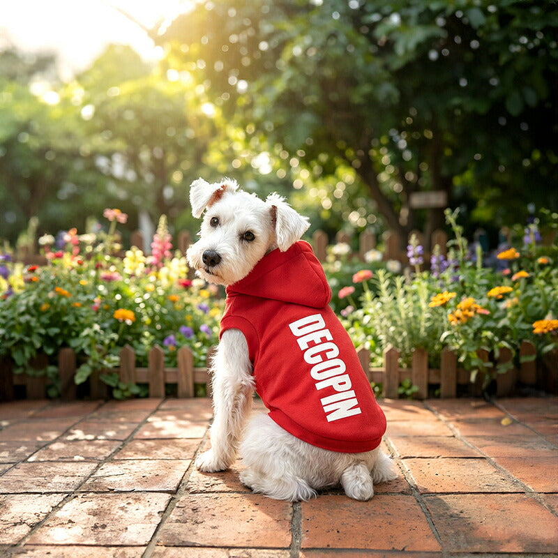 【犬服 犬 服 秋冬 犬の服 ドッグウェア 名入れ】愛犬のお名前入り カラフルパーカー【ダックス トイプードル チワワ おしゃれ ヨーキー タムベディ】(O/F/RI/L/)