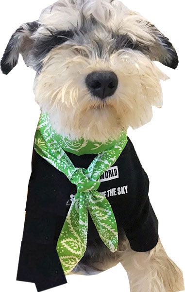 【犬 クールネック スカーフ】クールスカーフ【ひんやり 冷たい 接触冷感素材 冷却ビーズ ジェル ペイズリー ドッグ ダックス トイプードル チワワ タムベディ】[CN][GI]