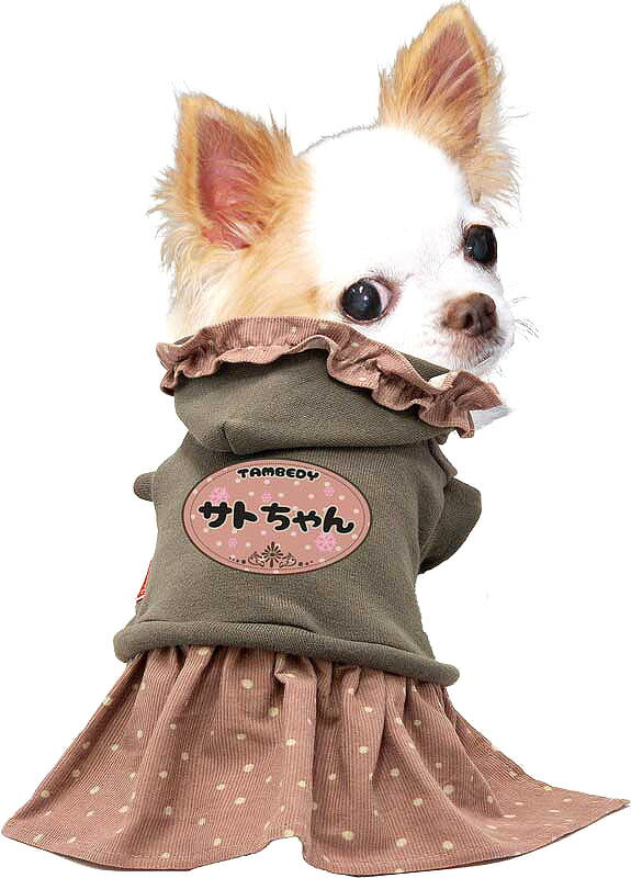 【犬服 犬 服 犬の服 名入れ 秋服 冬服用】愛犬のお名前入り コーデュロイスカートワンピース【ドッグウェア フリル ドット コール天 パーカー ダックス トイプードル チワワ タムベディ キュート】(L/)[GI]
