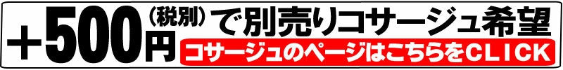 【犬服 犬 服 犬の服 秋服 冬服用】艶やか晴れ着 彩世(あやせ)《名入れ可能》《コサージュ別売》【着物 お正月 初詣 年賀状 七五三 前開きドッグ ペット ウェア ダックス トイプードル チワワ タムベディ シーズー】