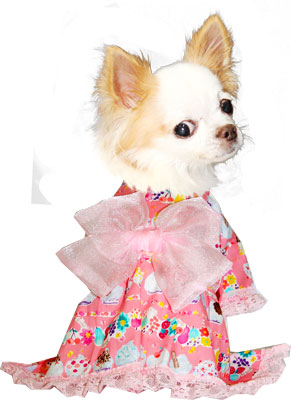 【犬 浴衣 犬の服】《名入れ可能》《コサージュ別売》カップケーキ★ゆかた(浴衣)【ドッグウェア ペット 着物 和柄 お祭り ダックス トイプードル チワワ タムベディ おしゃれ マルチーズ】
