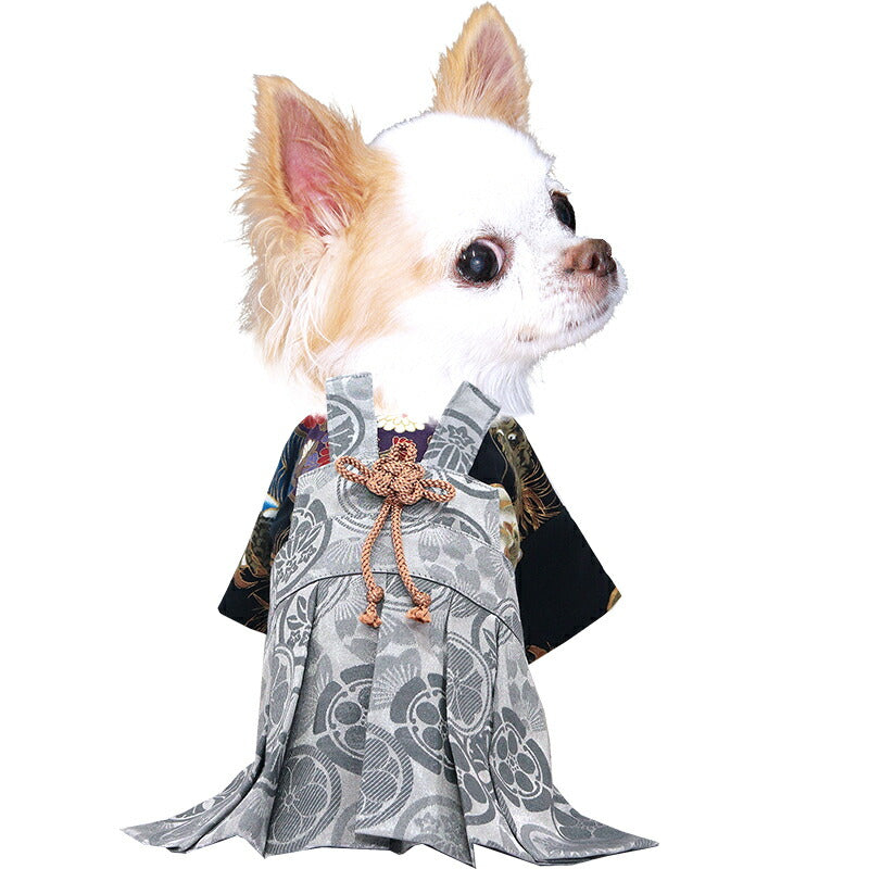 【犬服 犬 服 犬の服 秋服 冬服用】男振り袴 大地(だいち)《名入れ可能》【着物 和装 お正月 初詣 年賀状 七五三 前開きドッグ ペット ウェア ダックス トイプードル チワワ タムベディ かっこいい ポメラニアン】