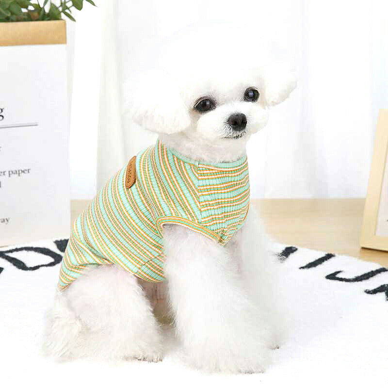 【犬 夏服 犬の服 春服用】《名入れ可能》マルチDADAボーダーシャツ【ドッグウェア ペット しましま アウトレット ダックス トイプードル チワワ 服 タムベディ パピヨン】[CN][GI]0