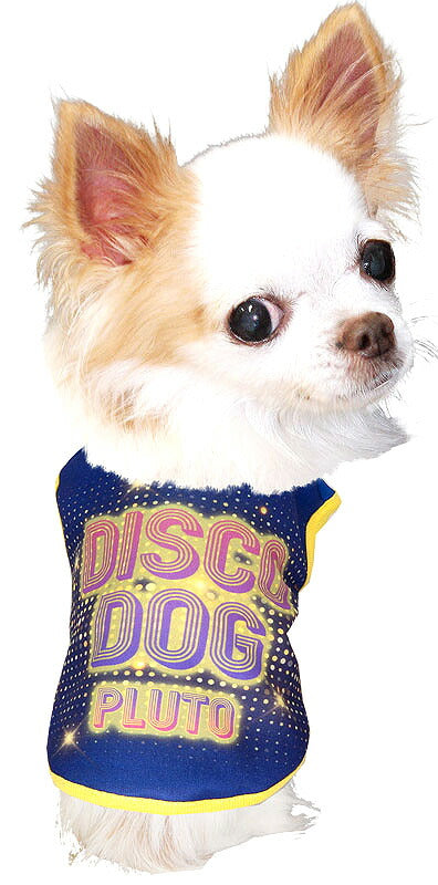 【犬服 犬 服 犬の服 名入れ 秋服 冬服用】愛犬のお名前入り ディスコドッグ【ドッグウェア ペット ダックス トイプードル チワワ タムベディおしゃれ】(S/3/N/H/)