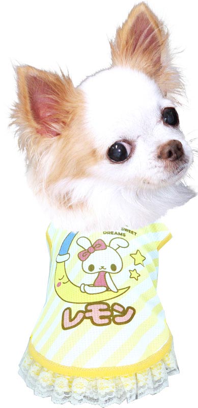 【犬 名入れ 夏服】ひんやり 接触冷感素材 クール 愛犬のお名前入り ドリームナイトフリルシャツ 【うさぎ 月 星 ドッグ ペット ウェア トイプードル チワワ タムベディ ポメラニアン】(S/B/N/H/)