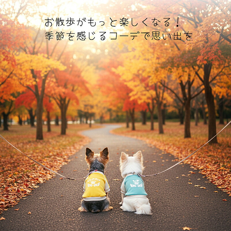 【犬服 犬 服 犬の服 名入れ 春秋服 冬服用】愛犬のお名前入り フラッピークラウンラグランシャツ【ライン スポーティ 王冠 ひらがな 袖ありドッグ ペット ウェア トイプードル チワワ タムベディ おしゃれ】(O/F/RA/L/)