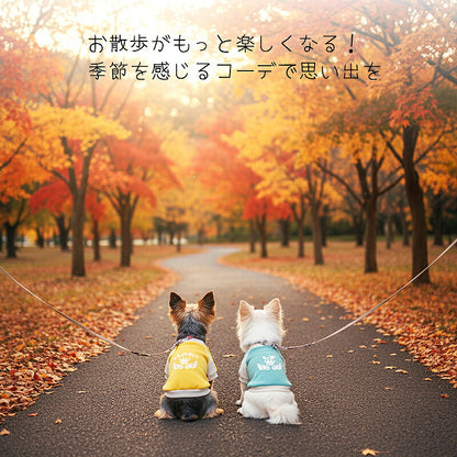 【犬服 犬 服 犬の服 名入れ 春秋服 冬服用】愛犬のお名前入り フラッピークラウンラグランシャツ【ライン スポーティ 王冠 ひらがな 袖ありドッグ ペット ウェア トイプードル チワワ タムベディ おしゃれ】(O/F/RA/L/)