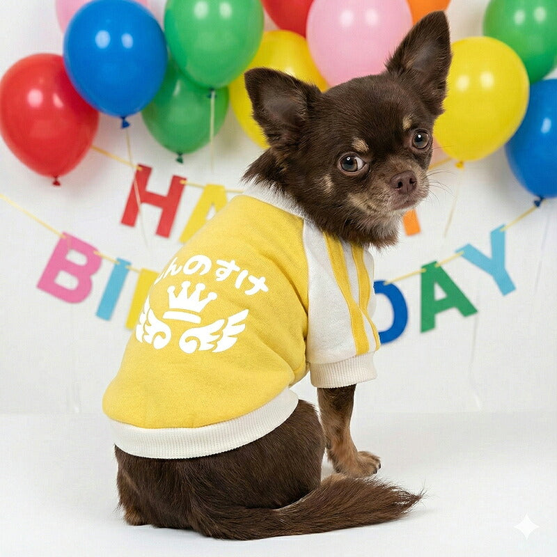 【犬服 犬 服 犬の服 名入れ 春秋服 冬服用】愛犬のお名前入り フラッピークラウンラグランシャツ【ライン スポーティ 王冠 ひらがな 袖ありドッグ ペット ウェア トイプードル チワワ タムベディ おしゃれ】(O/F/RA/L/)